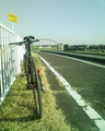 img126.jpg